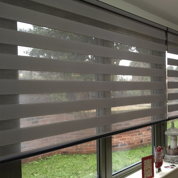 cat roller blinds